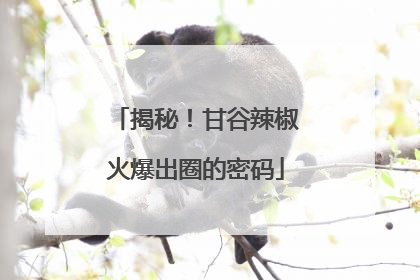 揭秘！甘谷辣椒火爆出圈的密码