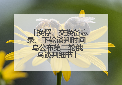 换俘、交换备忘录、下轮谈判时间 乌公布第二轮俄乌谈判细节