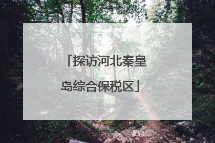 探访河北秦皇岛综合保税区