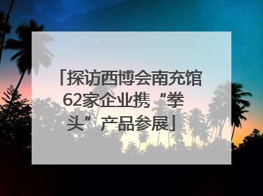 探访西博会南充馆 62家企业携“拳头”产品参展