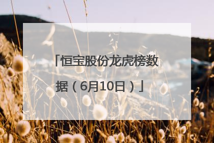 恒宝股份龙虎榜数据（6月10日）
