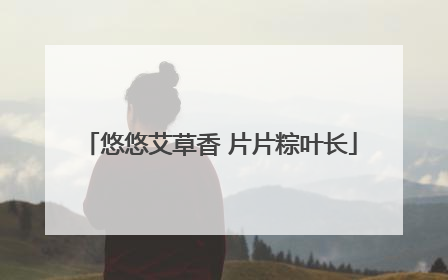 悠悠艾草香 片片粽叶长