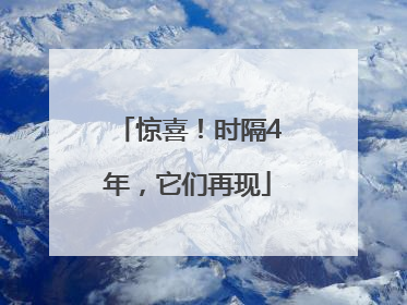 惊喜！时隔4年，它们再现