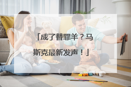成了替罪羊？马斯克最新发声！
