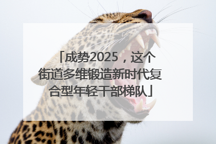 成势2025，这个街道多维锻造新时代复合型年轻干部梯队