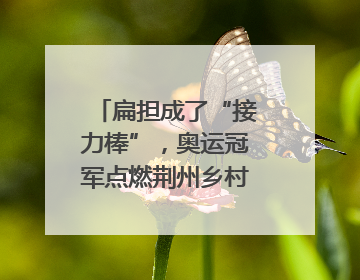 扁担成了“接力棒”，奥运冠军点燃荆州乡村全民健身热