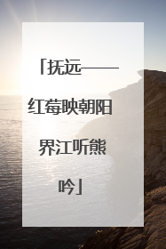 抚远——红莓映朝阳 界江听熊吟