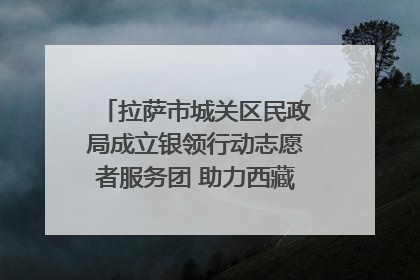 拉萨市城关区民政局成立银领行动志愿者服务团 助力西藏银发经济发展