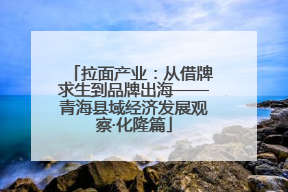 拉面产业：从借牌求生到品牌出海——青海县域经济发展观察·化隆篇