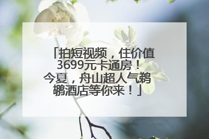 拍短视频，住价值3699元卡通房！今夏，舟山超人气鹈鹕酒店等你来！