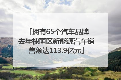 拥有65个汽车品牌 去年槐荫区新能源汽车销售额达113.9亿元