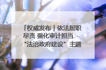 权威发布｜依法履职尽责 强化审计担当 “法治政府建设”主题系列新闻发布会市审计局专场召开