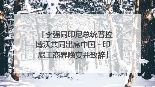李强同印尼总统普拉博沃共同出席中国－印尼工商界晚宴并致辞