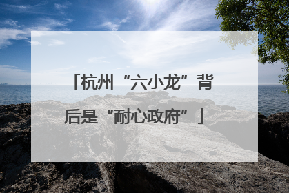 杭州“六小龙”背后是“耐心政府”