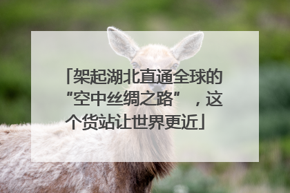 架起湖北直通全球的“空中丝绸之路”，这个货站让世界更近