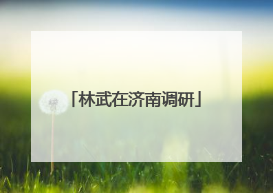 林武在济南调研