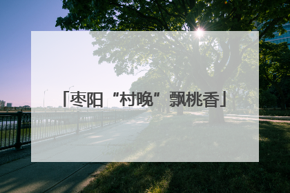 枣阳“村晚”飘桃香