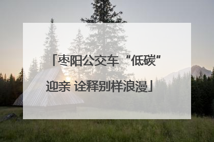 枣阳公交车“低碳”迎亲 诠释别样浪漫