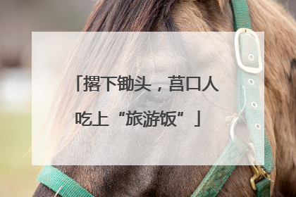撂下锄头，莒口人吃上“旅游饭”