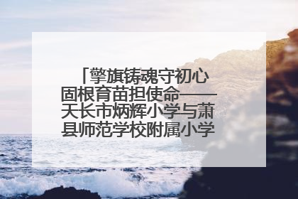擎旗铸魂守初心 固根育苗担使命——天长市炳辉小学与萧县师范学校附属小学结对共建活动纪实