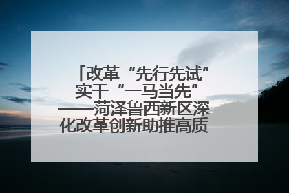 改革“先行先试” 实干“一马当先”——菏泽鲁西新区深化改革创新助推高质量发展纪实