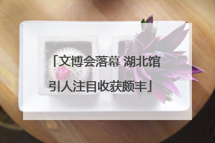 文博会落幕 湖北馆引人注目收获颇丰