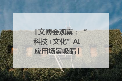 文博会观察：“科技+文化”AI应用场景吸睛