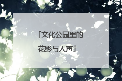 文化公园里的花影与人声