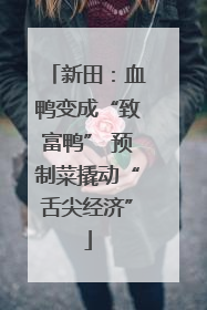 新田：血鸭变成“致富鸭” 预制菜撬动“舌尖经济”