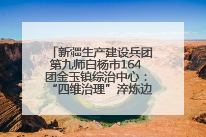 新疆生产建设兵团第九师白杨市164团金玉镇综治中心：“四维治理”淬炼边疆“枫桥样本”