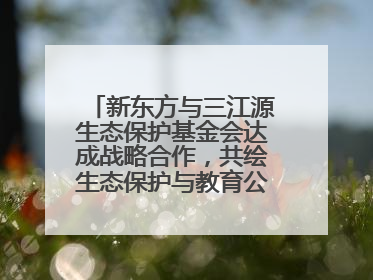 新东方与三江源生态保护基金会达成战略合作，共绘生态保护与教育公益新蓝图