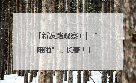 新发路观察+｜“哦啦”，长春！