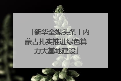 新华全媒头条丨内蒙古扎实推进绿色算力大基地建设