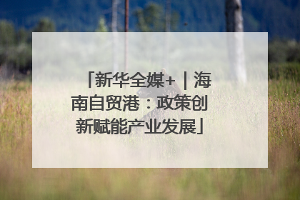 新华全媒+｜海南自贸港：政策创新赋能产业发展