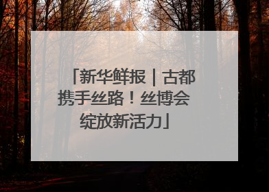 新华鲜报｜古都携手丝路！丝博会绽放新活力