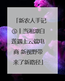 新农人手记⑤丨当湘潭白莲遇上云端电商 新视野带来了新路径