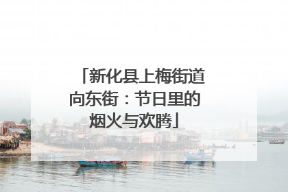 新化县上梅街道向东街：节日里的烟火与欢腾