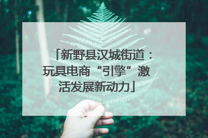 新野县汉城街道：玩具电商“引擎”激活发展新动力