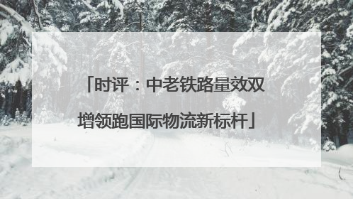 时评：中老铁路量效双增领跑国际物流新标杆
