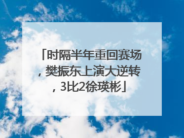 时隔半年重回赛场，樊振东上演大逆转，3比2徐瑛彬