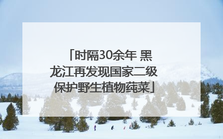 时隔30余年 黑龙江再发现国家二级保护野生植物莼菜