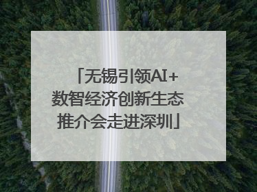无锡引领AI+数智经济创新生态推介会走进深圳