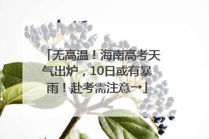 无高温！海南高考天气出炉，10日或有暴雨！赴考需注意→