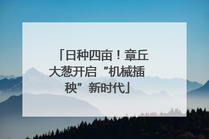 日种四亩！章丘大葱开启“机械插秧”新时代