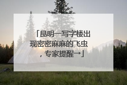 昆明一写字楼出现密密麻麻的飞虫，专家提醒→