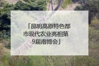 昆明高原特色都市现代农业亮相第9届南博会