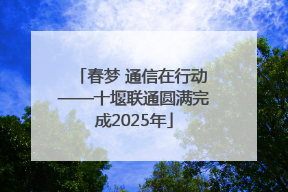春梦 通信在行动——十堰联通圆满完成2025年