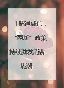 昭通威信：“两新”政策持续激发消费热潮