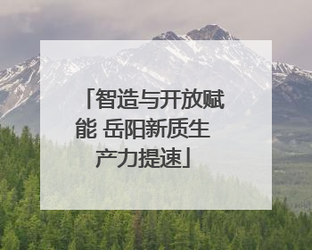 智造与开放赋能 岳阳新质生产力提速