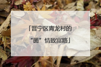 晋宁区青龙村的“菌”情致富路